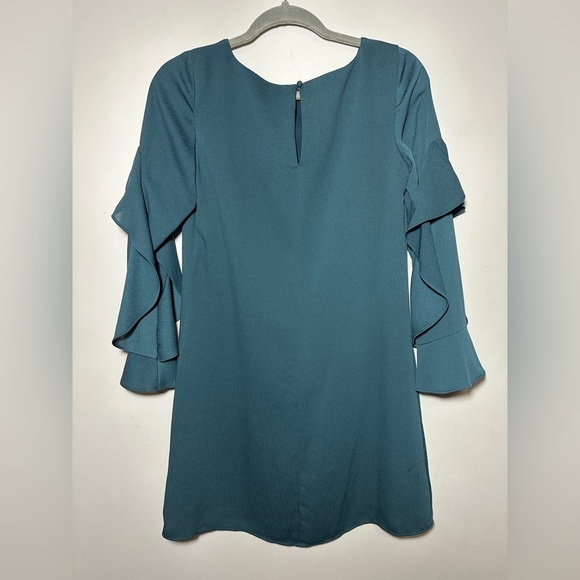 Ann Taylor Petite Green Bell Sleeves with Boat Neck Size 2P - Picture 2 of 5